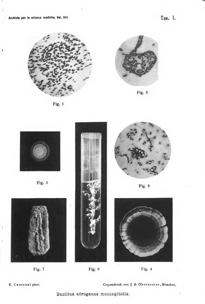 Archivio per le scienze mediche