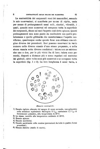 Archivio per le scienze mediche