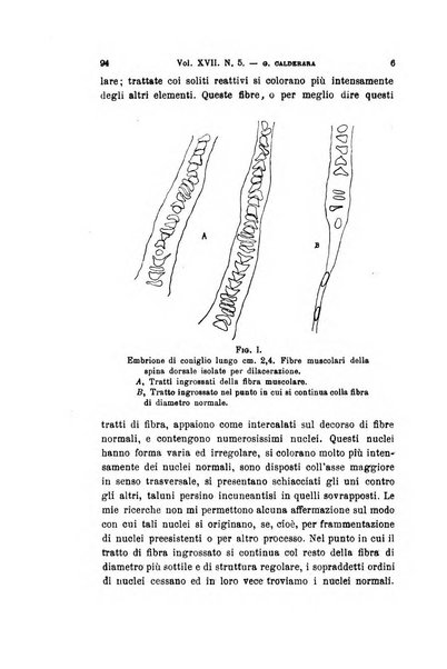 Archivio per le scienze mediche