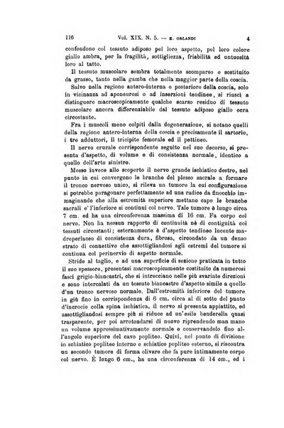 Archivio per le scienze mediche