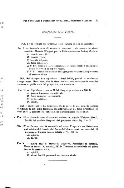 Archivio per le scienze mediche