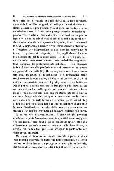 Archivio per le scienze mediche