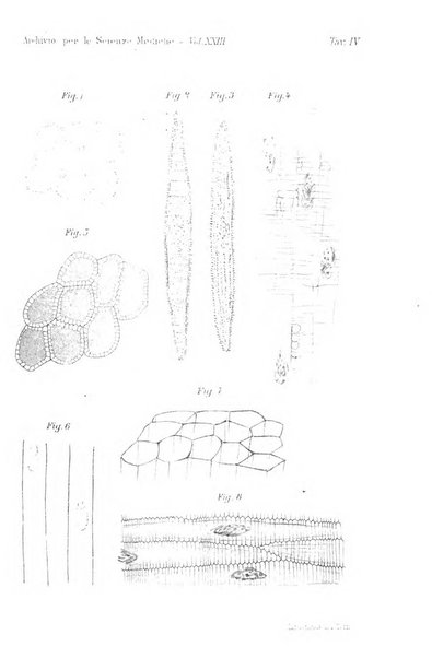 Archivio per le scienze mediche