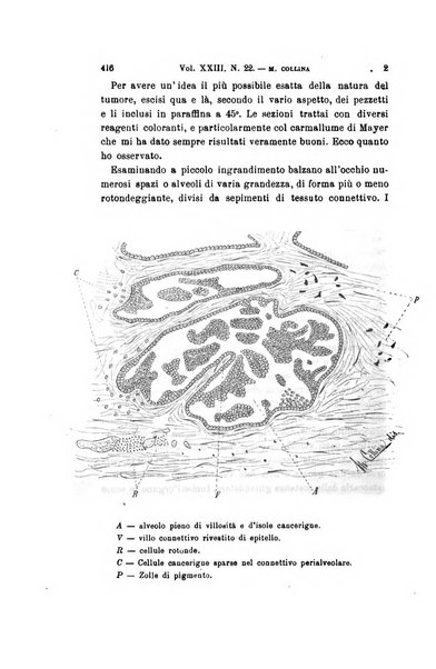 Archivio per le scienze mediche