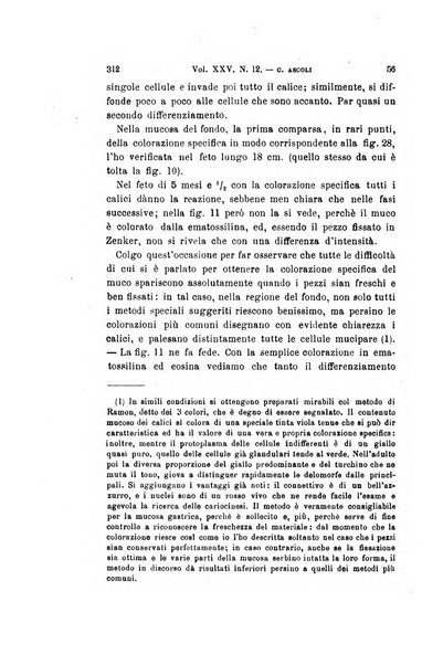 Archivio per le scienze mediche