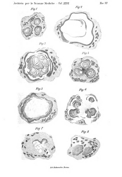 Archivio per le scienze mediche