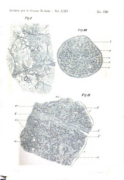 Archivio per le scienze mediche