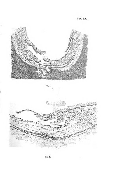 Archivio per le scienze mediche