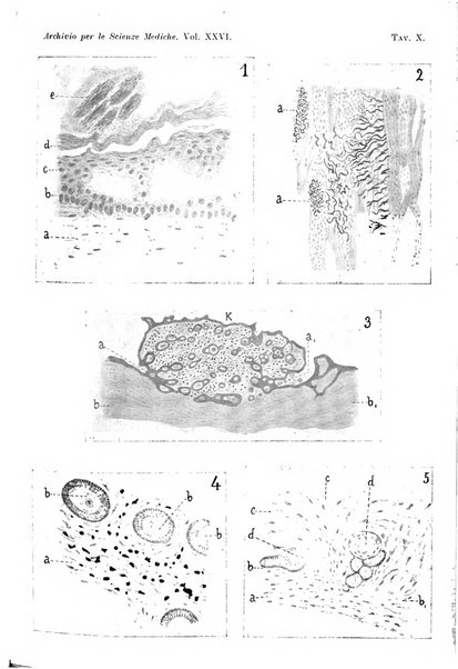 Archivio per le scienze mediche