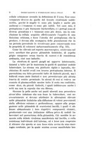 giornale/TO00176894/1904/unico/00000075