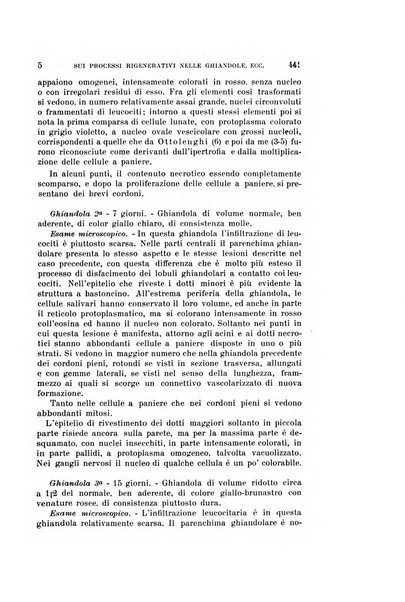 Archivio per le scienze mediche