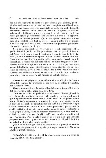 Archivio per le scienze mediche