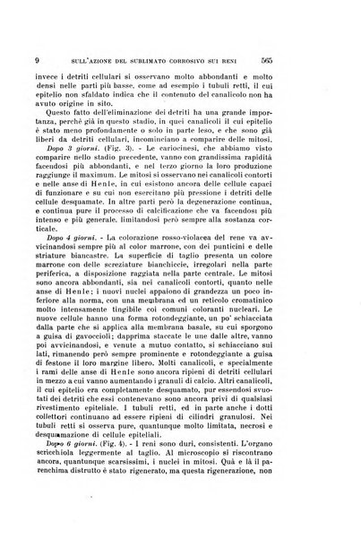 Archivio per le scienze mediche