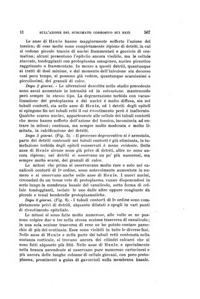 Archivio per le scienze mediche