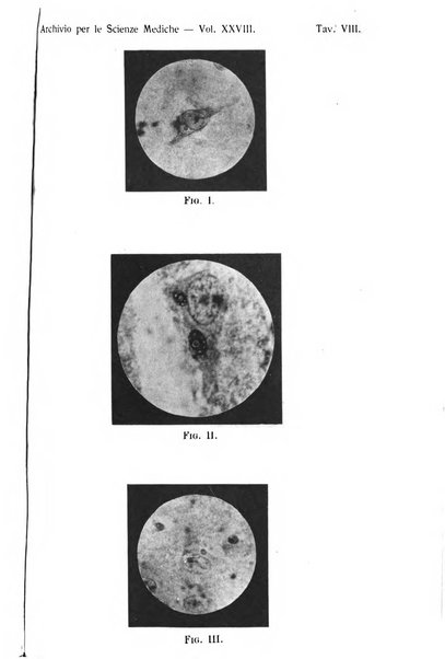 Archivio per le scienze mediche