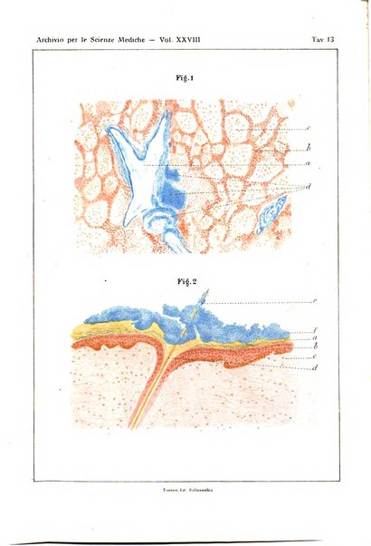 Archivio per le scienze mediche