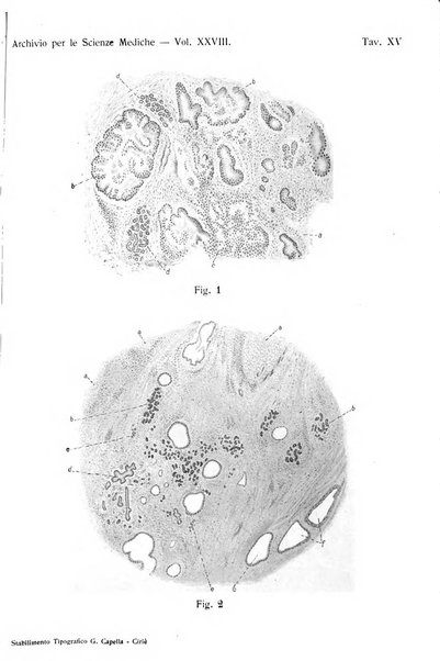 Archivio per le scienze mediche