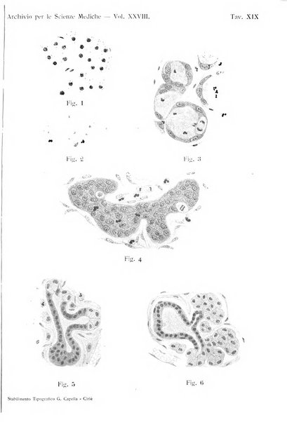 Archivio per le scienze mediche