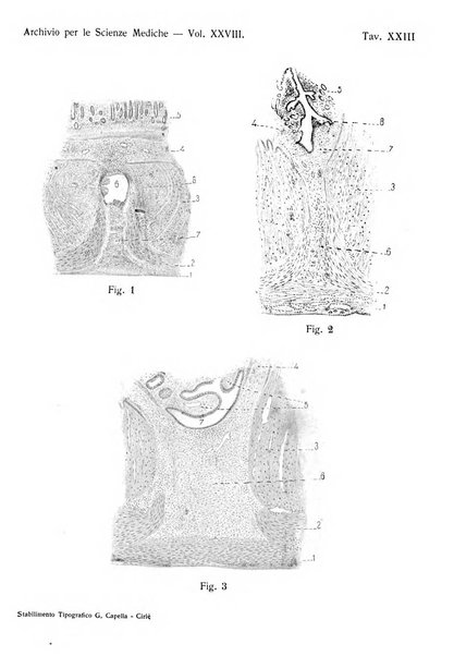 Archivio per le scienze mediche