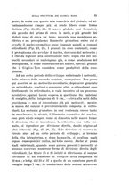 giornale/TO00176894/1905/unico/00000073