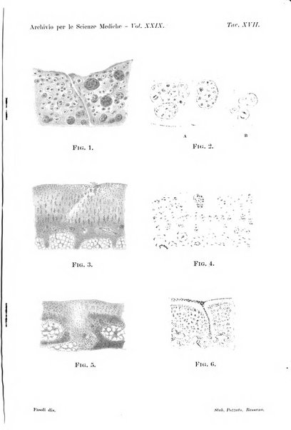 Archivio per le scienze mediche