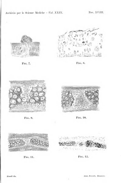 Archivio per le scienze mediche