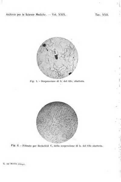 Archivio per le scienze mediche