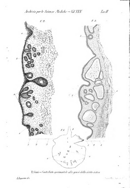 Archivio per le scienze mediche