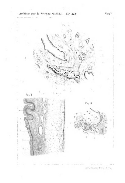 Archivio per le scienze mediche