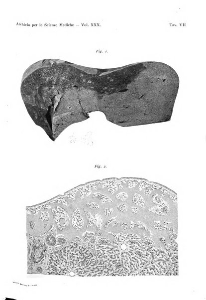 Archivio per le scienze mediche