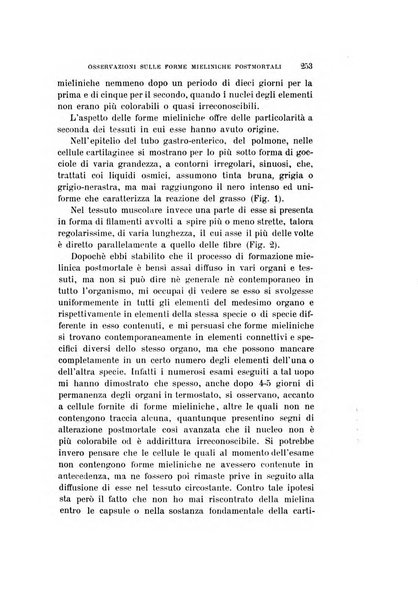 Archivio per le scienze mediche