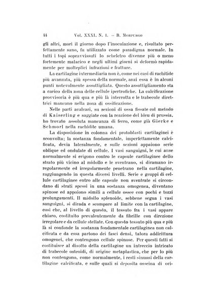 Archivio per le scienze mediche