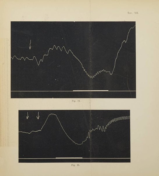 Archivio per le scienze mediche