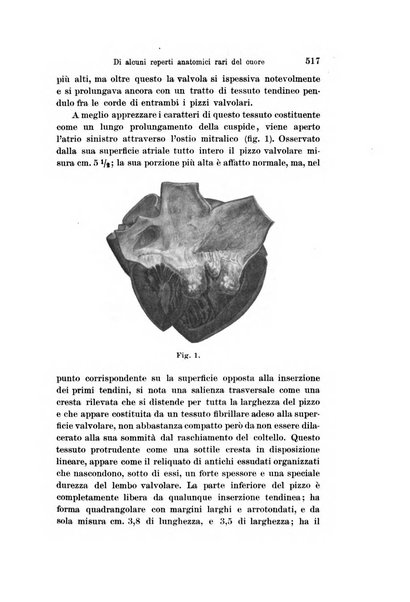 Archivio per le scienze mediche