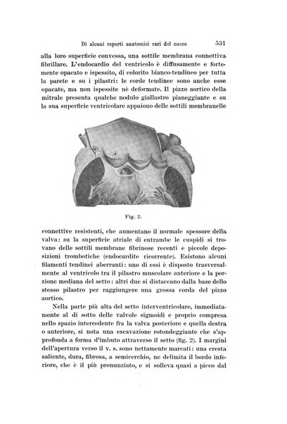 Archivio per le scienze mediche