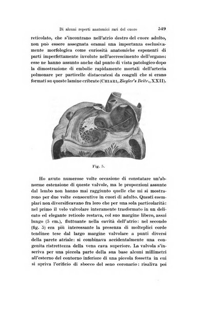 Archivio per le scienze mediche