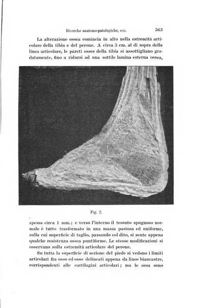 Archivio per le scienze mediche