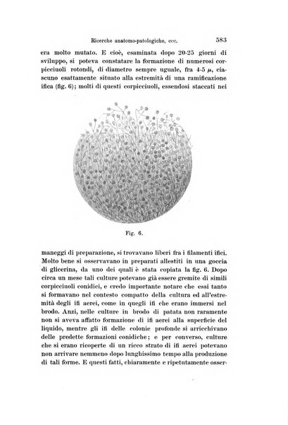 Archivio per le scienze mediche