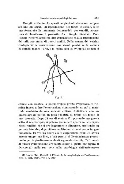 Archivio per le scienze mediche