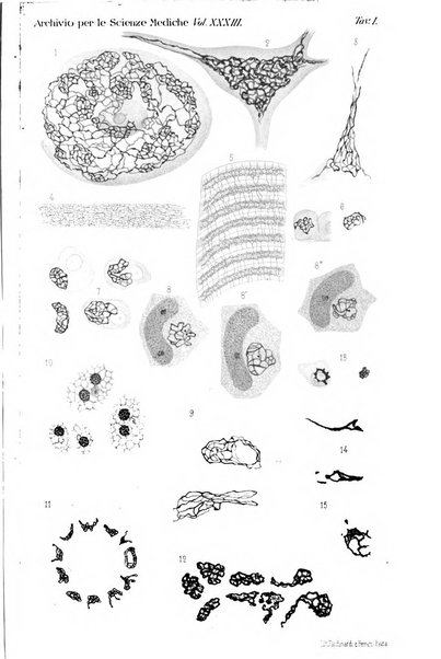 Archivio per le scienze mediche