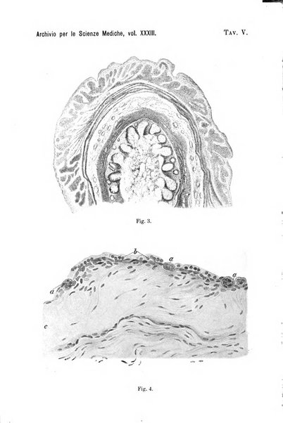 Archivio per le scienze mediche