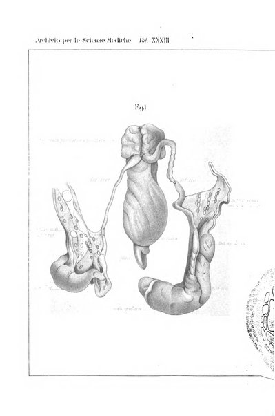 Archivio per le scienze mediche