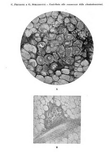 Archivio per le scienze mediche