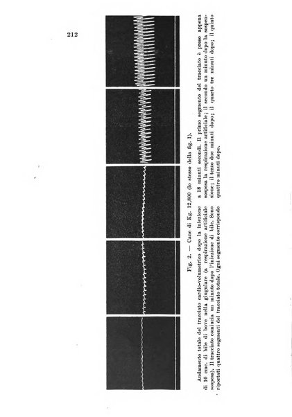 Archivio per le scienze mediche