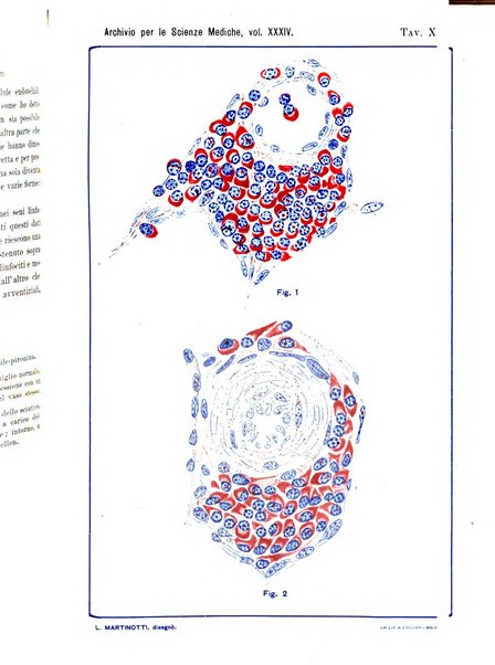 Archivio per le scienze mediche