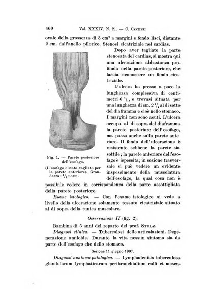 Archivio per le scienze mediche