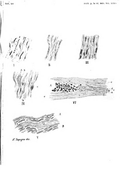 Archivio per le scienze mediche