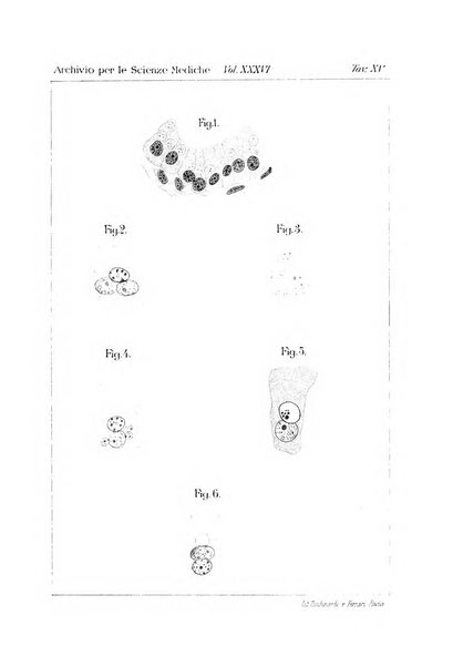 Archivio per le scienze mediche