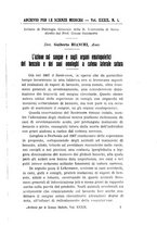 giornale/TO00176894/1915/unico/00000011