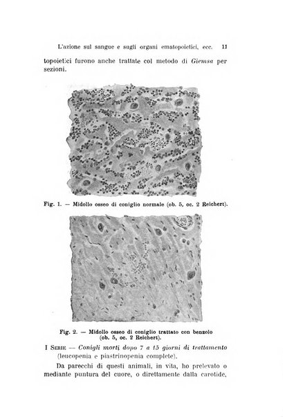 Archivio per le scienze mediche